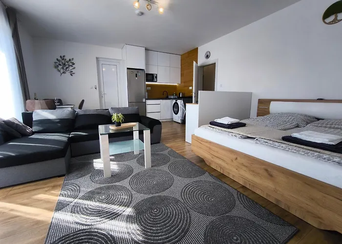 Premiovy S Vlastnym Vchodom A Parkovanim V Garazi Apartment *